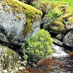 10 Person In Kvinesdal Nyaraló Vatland