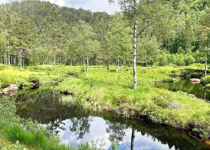 Ferienhaus 10 Person In Kvinesdal *